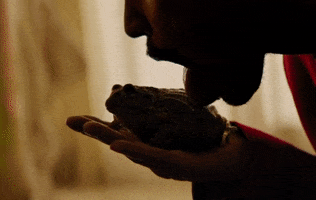 Toad Licking GIFs - Get the best GIF on GIPHY
