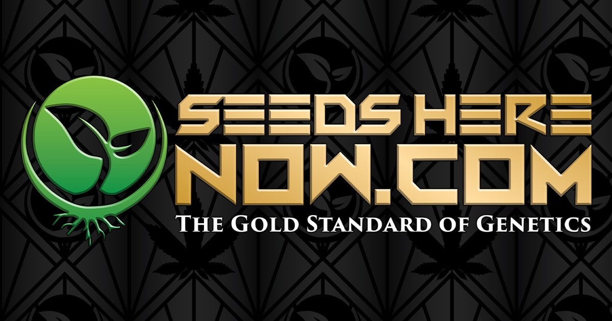seedsherenow.com