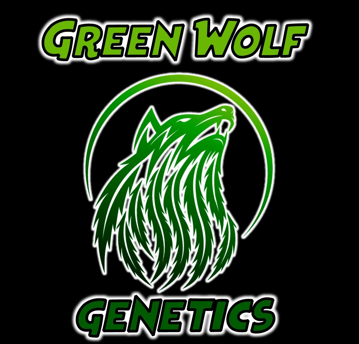 www.greenwolfgenetics.com
