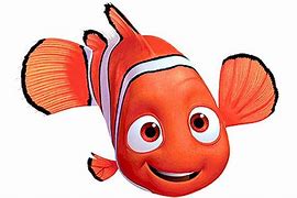 Image result for Nemo fish