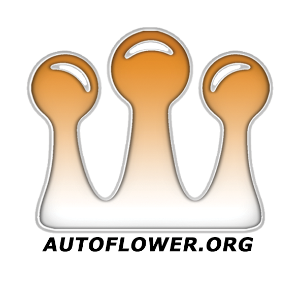 autoflowernetwork.community.forum
